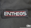 Entheos Patch